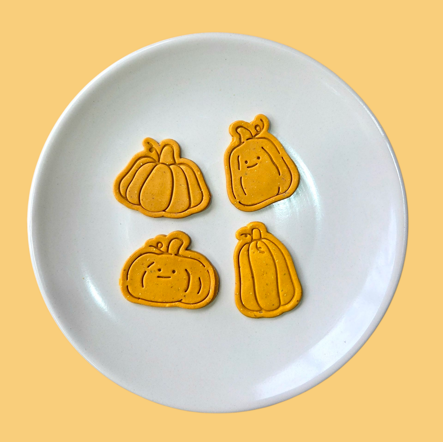 Pumpkin Patch